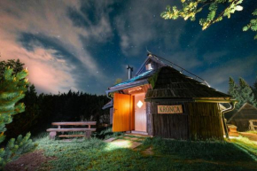 Koča Kronca - Velika planina